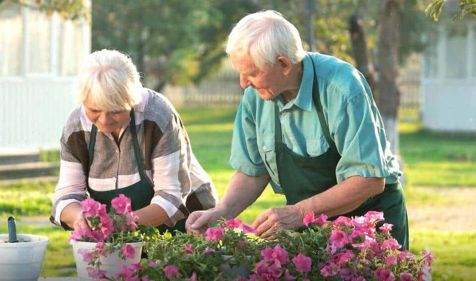 elderly couple working in their garden